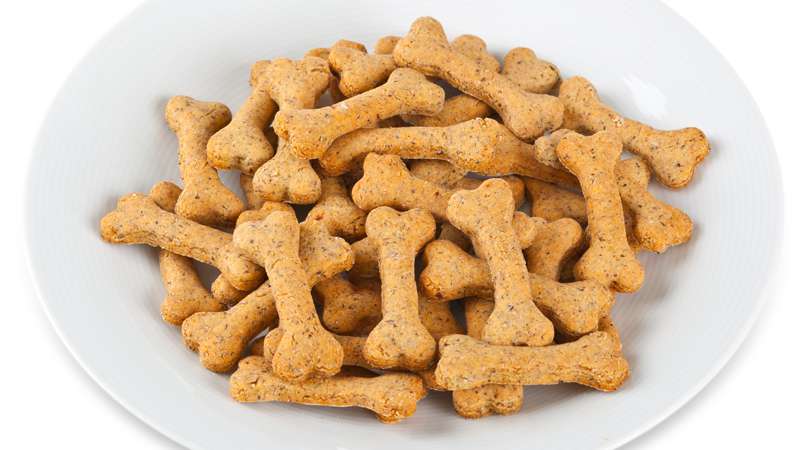 Biscotti per cani