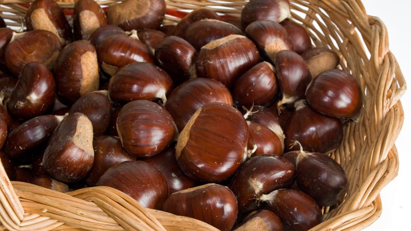 Castagne al forno, marroni e caldarroste: tutto quello che c'è da sapere