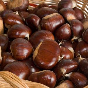 Castagne al forno, marroni e caldarroste: tutto quello che c'è da sapere