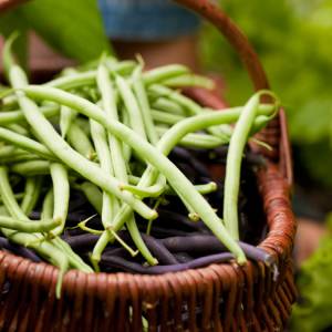 L'ingrediente del mese di maggio: i fagiolini