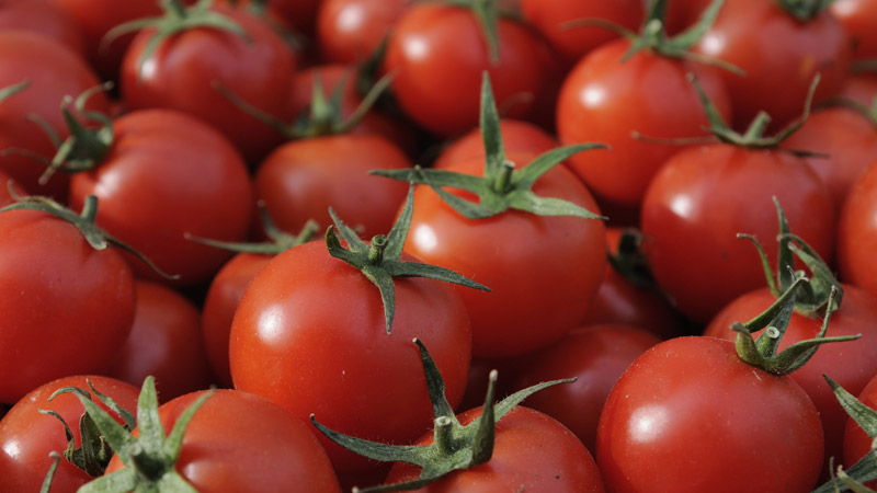 L'ingrediente del mese di agosto: i pomodori