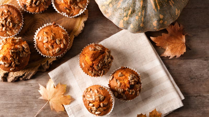 zucca 1 muffin