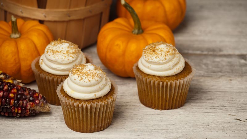 zucca 4 cupcake