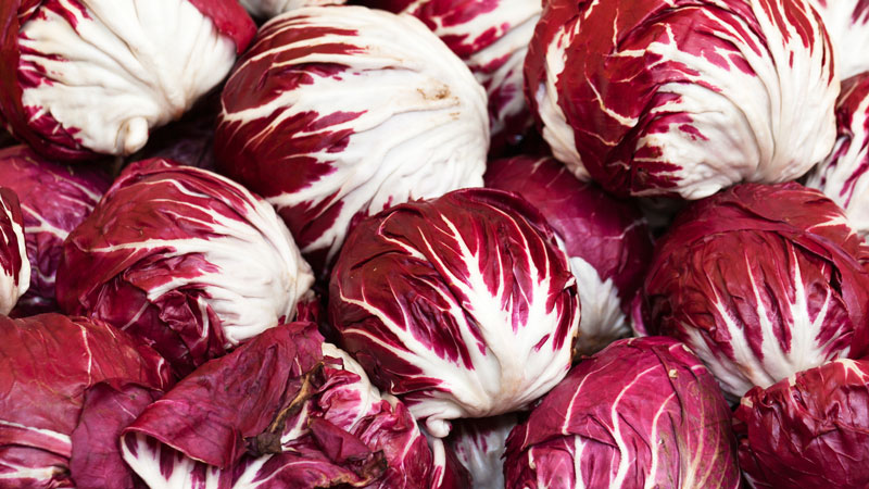 radicchio fresco