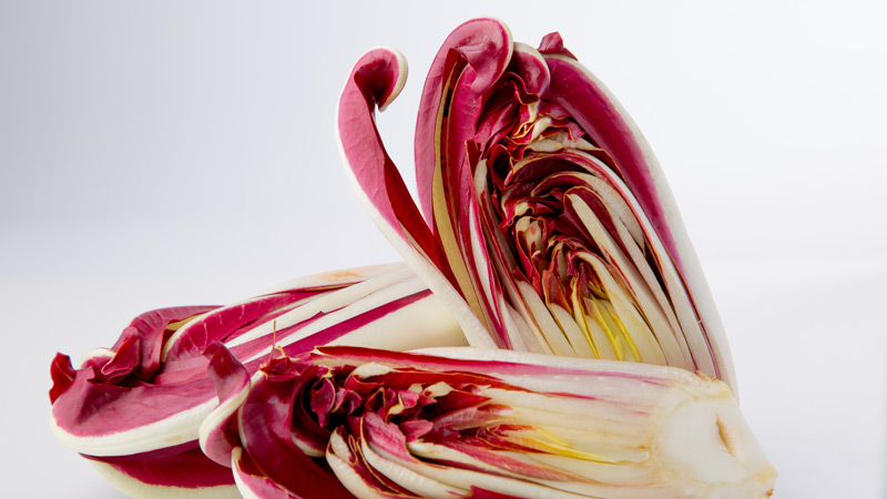 radicchio trevigiano tardivo