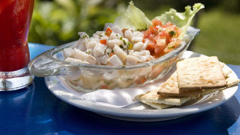 %20 %20ceviche