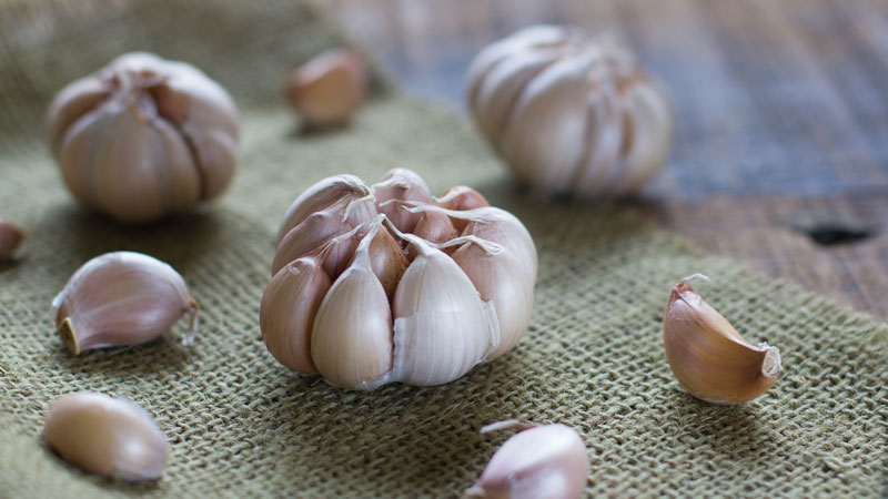 aglio bagna cauda