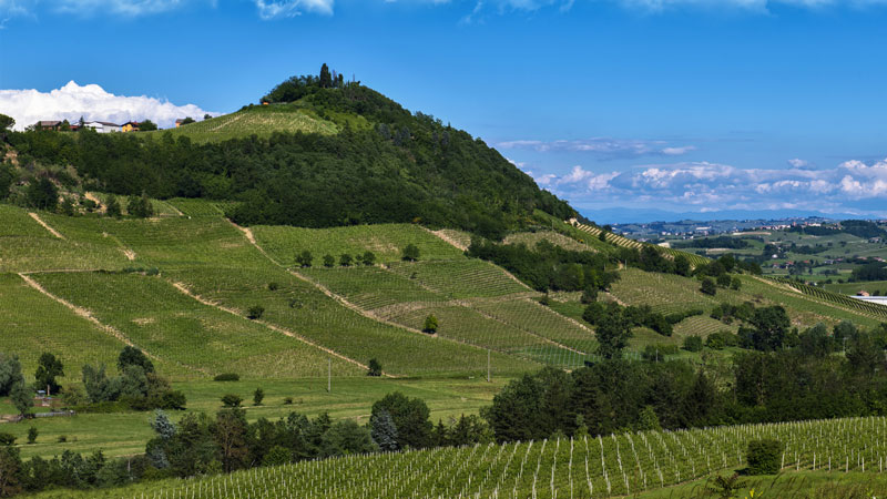 piemonte vigneti e colline