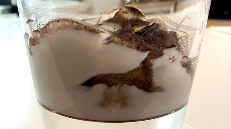 Bicchierini di tiramisù crema di ricotta di bufala