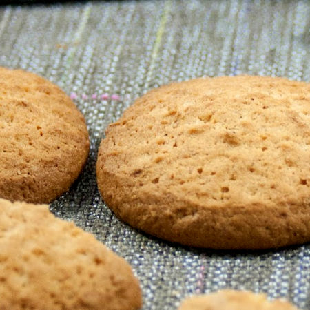 Biscotti con farina di farro