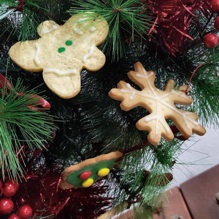 Biscotti light per albero di Natale