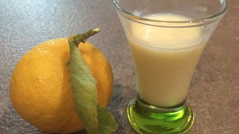 Crema di limoncello - Ricette Bimby