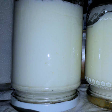 Crema splamabile di pecorino romano