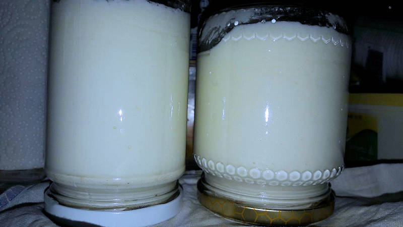 Crema splamabile di pecorino romano