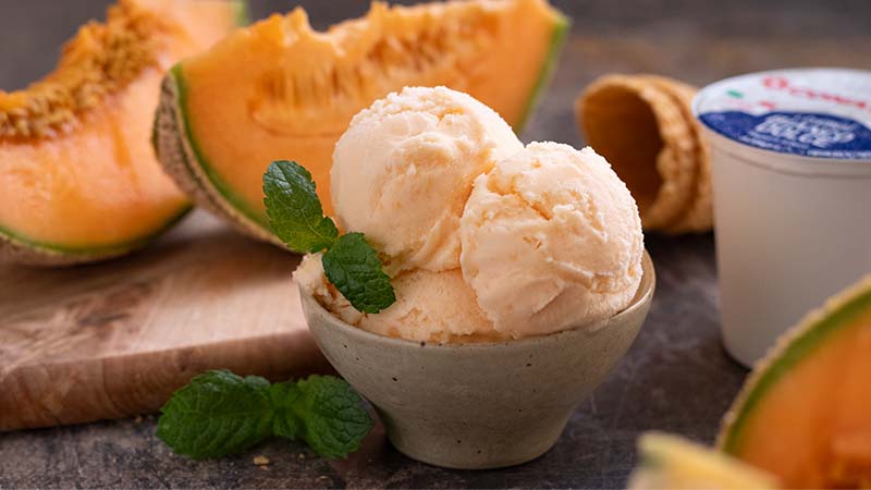 Gelato al melone senza uova