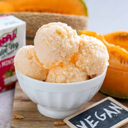 Gelato al melone vegan