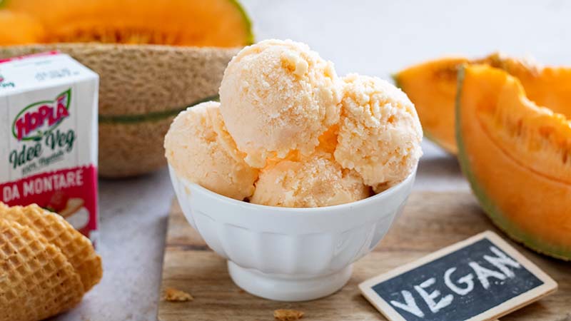 Gelato al melone vegan