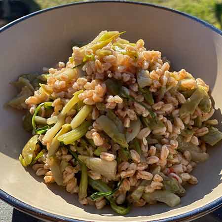 Insalata di farro con puntarelle piccanti