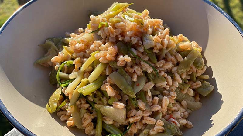 Insalata di farro con puntarelle piccanti