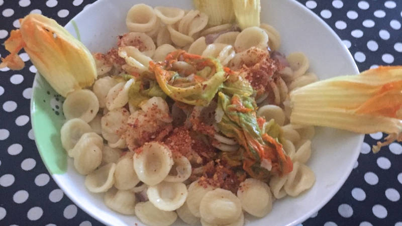 Orecchiette pancetta e fiori di zucca