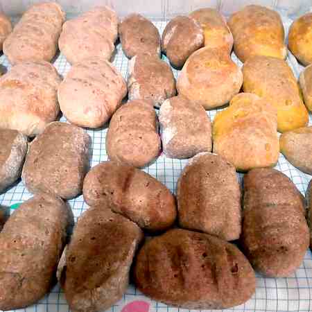 Panini alla curcuma