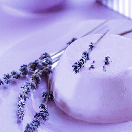 Panna cotta alla lavanda