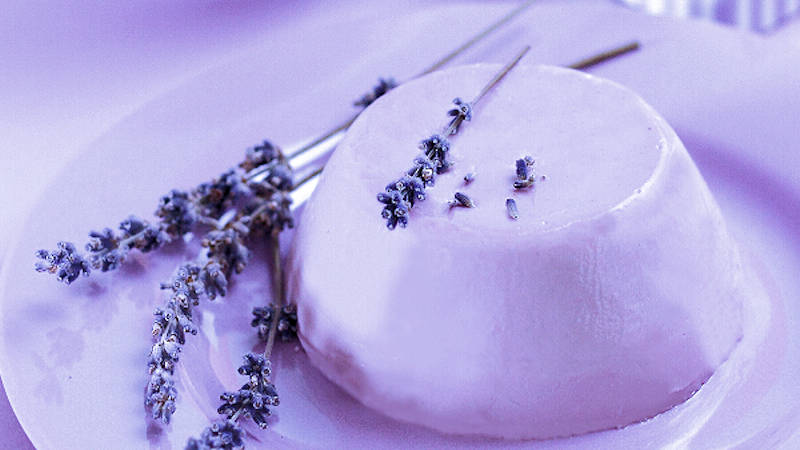 Panna cotta alla lavanda