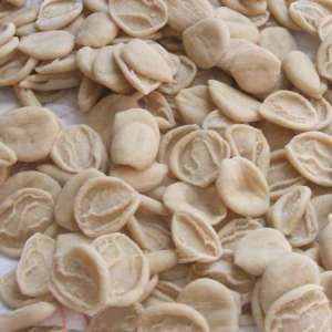 Pasta per orecchiette