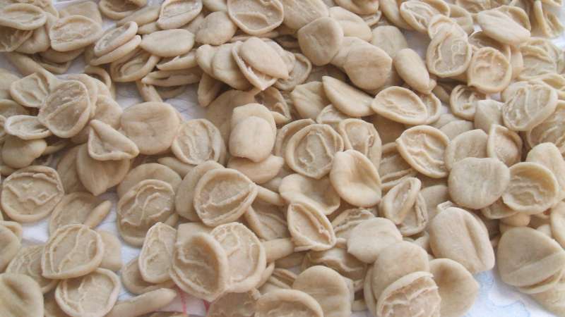 Pasta per orecchiette