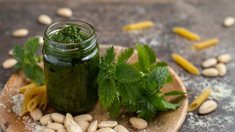 Pesto all'ortica