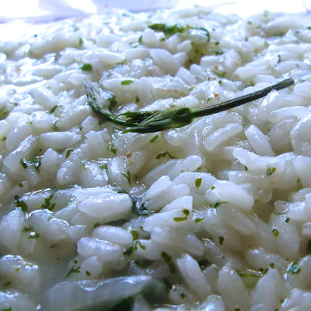 Risotto alle erbe