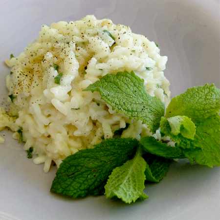 Risotto con menta