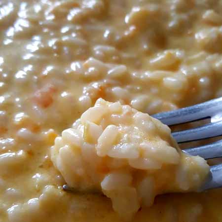 Risotto con robiola