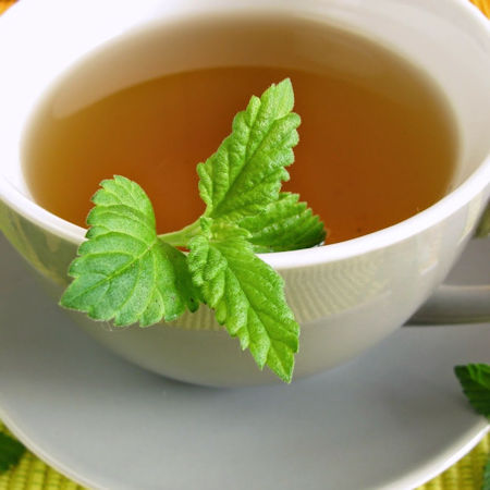 Tisana menta e salvia