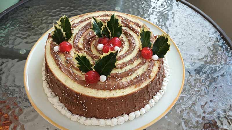 Torta tronchetto girella di Natale